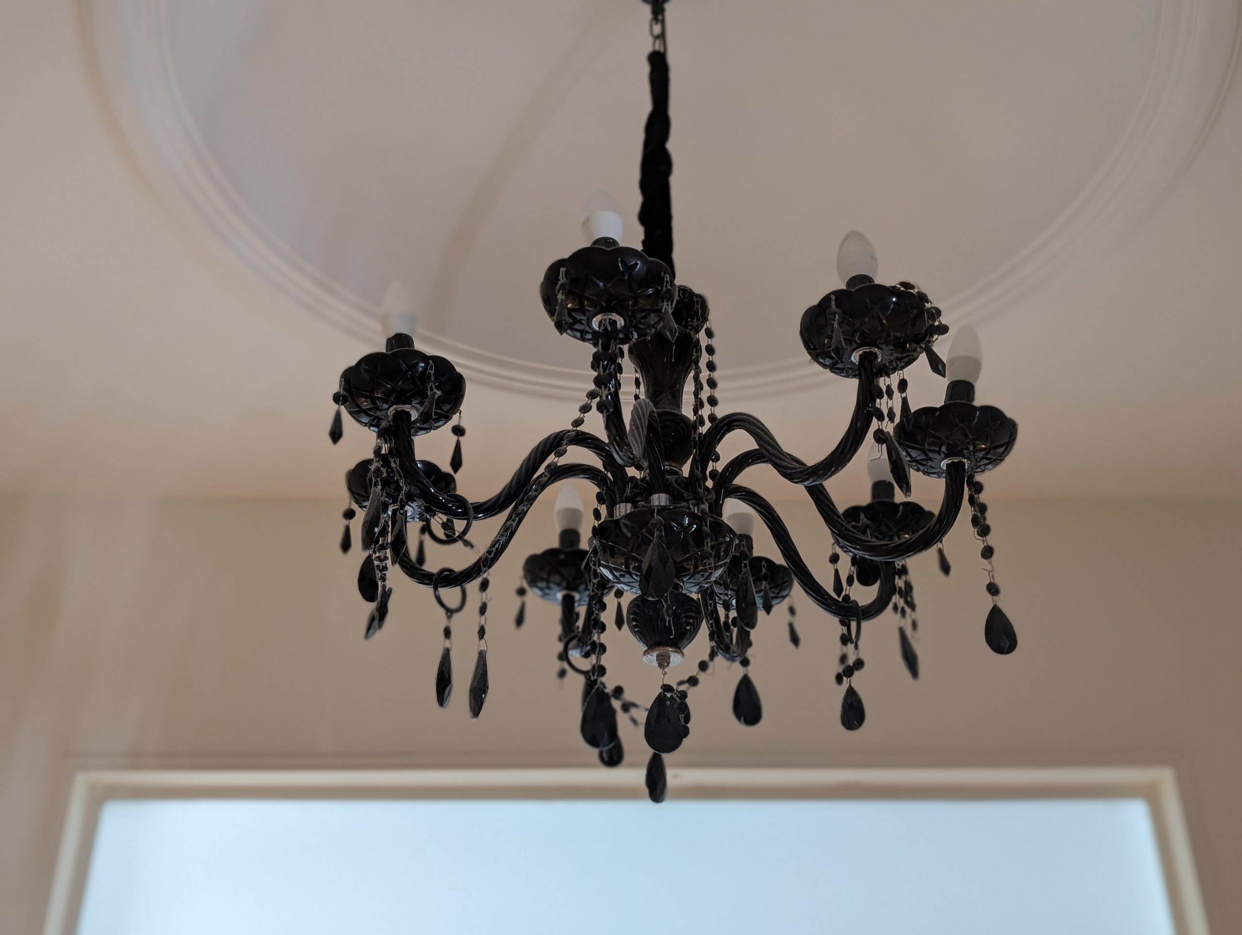 PXL_20250918_090014049.PORTRAIT